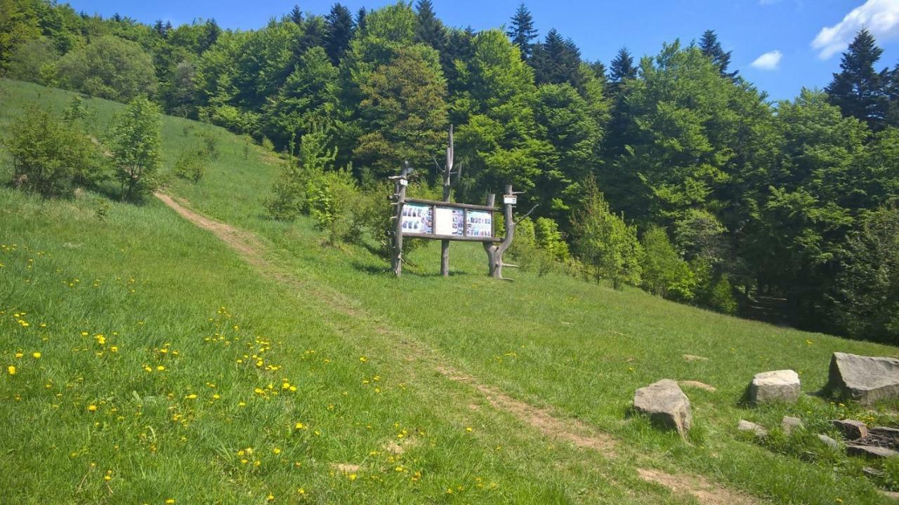 Pod Kamiennikiem Hotel Trzemesnia Kültér fotó